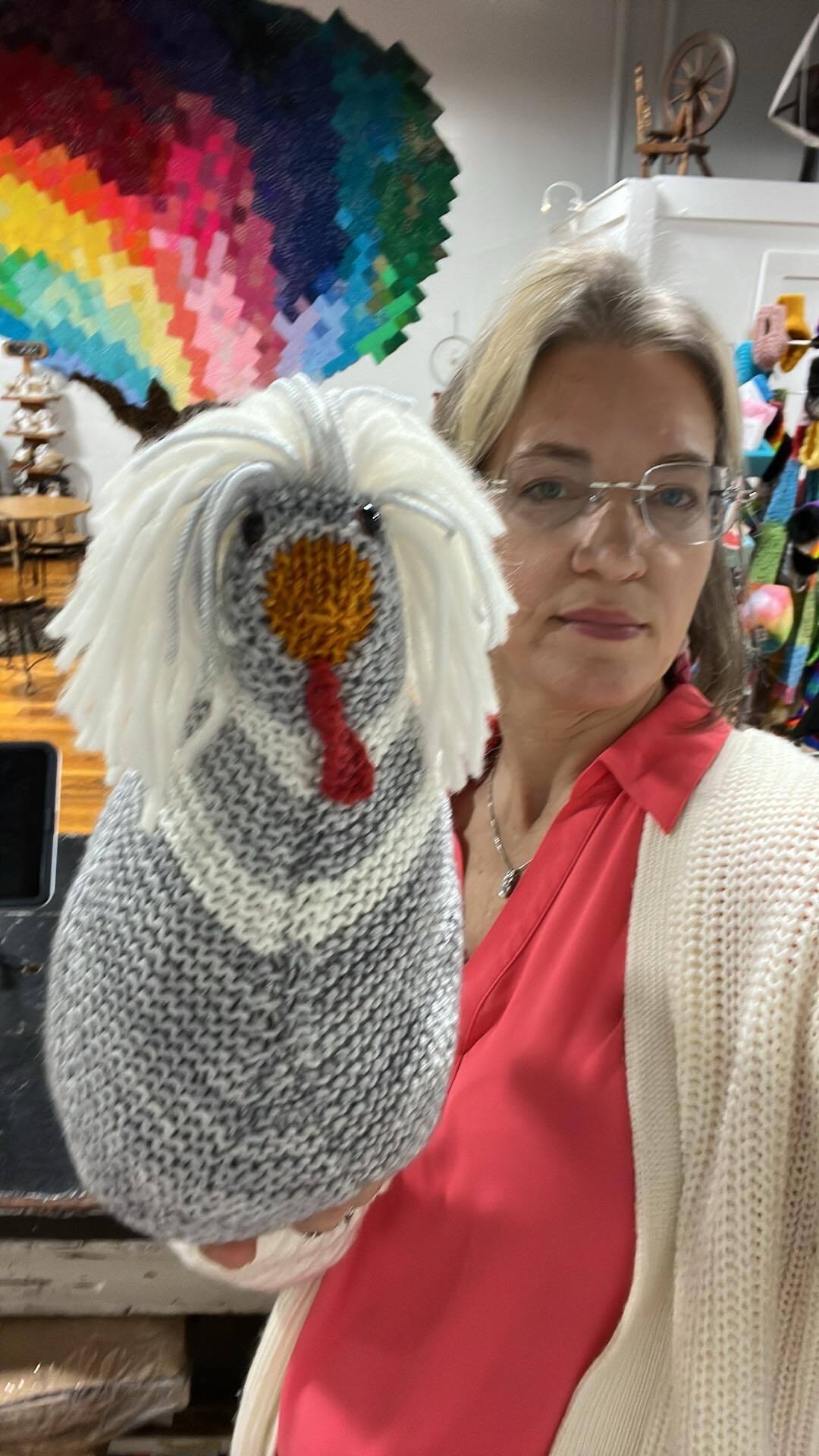 Emotional support chicken kit creative twist studio